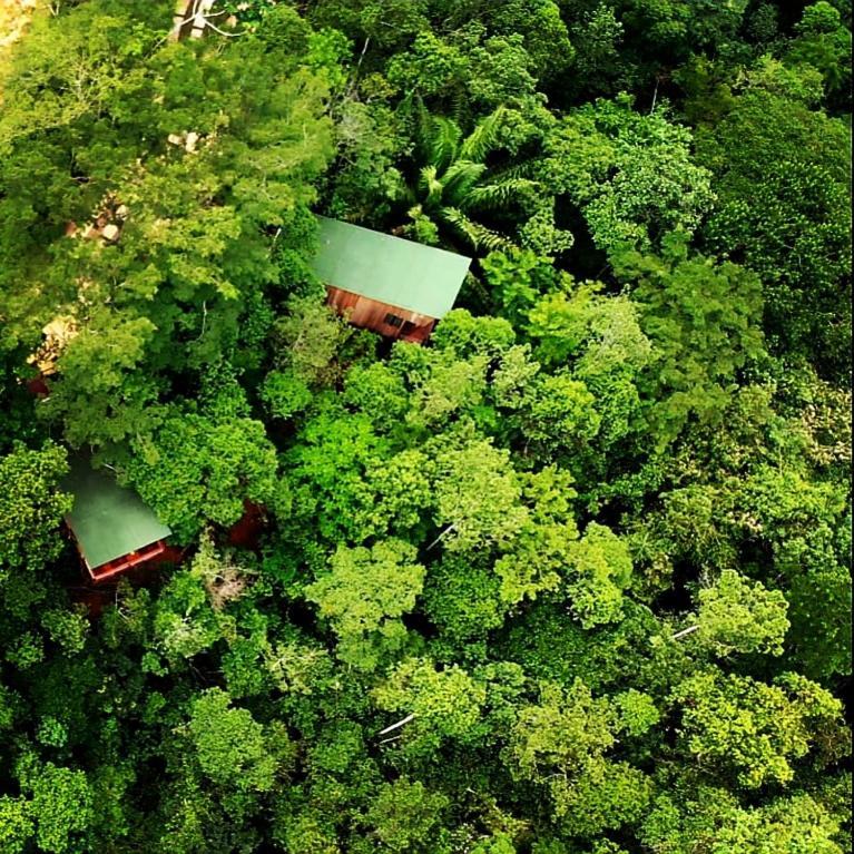 פאראטי La Luciole Ecolodge מראה חיצוני תמונה