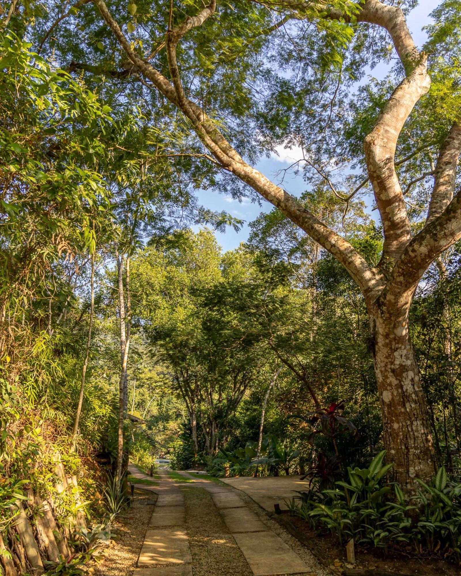 פאראטי La Luciole Ecolodge מראה חיצוני תמונה